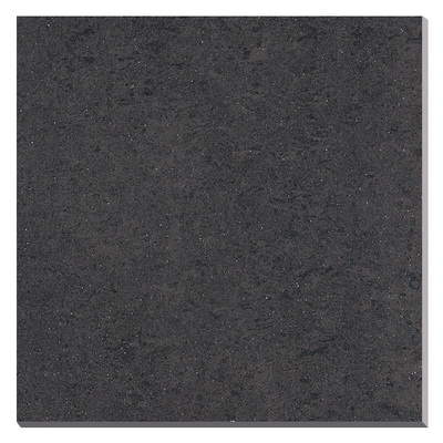 SL06013P